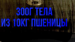 Колпачковая колона, первый опыт.