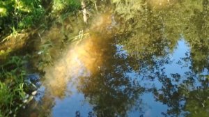 Как искать золото в Подмосковье и соседних областях