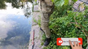 Обозреваем и тестируем удочки из Фикс Прайс для летней и зимней рыбалки. Зимняя рыбалка летом?