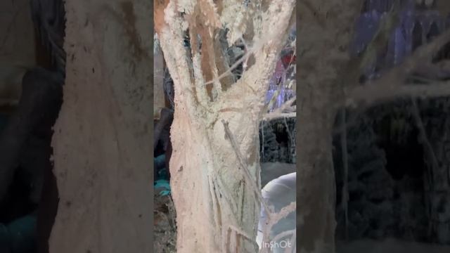 Особняк Небылица. Удивительный музей в Санкт-Петербурге. смотреть онлайн