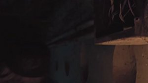 Внутри Лапенко - Шершняга электрик