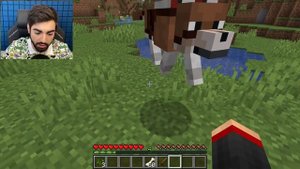 КАК СКРАФТИТЬ АЛМАЗНУЮ БРОНЮ ДЛЯ СОБАКИ НА ПОСЛЕДНЯЯ ВЕРСИЯ МАЙНКРАФТ 1.16