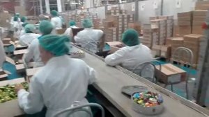 Наши сотрудники на кондитерской фабрике