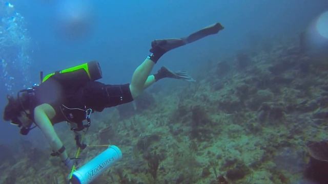 Scubadventures of Naples, Florida - Diving at Pompano Beach, Florida смотреть онлайн