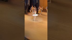 Раймонда Севенард