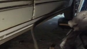 Как снять нижние молдинги на порогах ВАЗ 2107