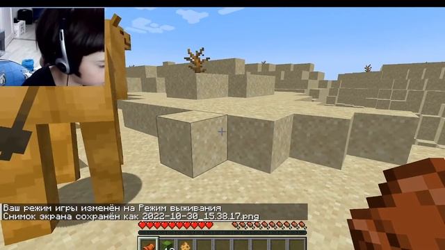 Обзор обновления 1.20 Minecraft хелоуин синий кот смотреть онлайн