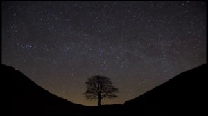 The Last Kingdom | Music & Ambience | Part 2 (Extended)