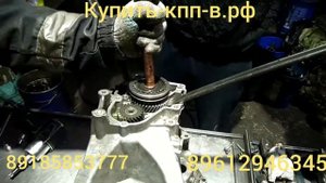 Разбор и ремонт транспортер т5