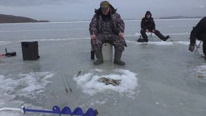 КОРЮШКА НА МАХАЛКИ!! КАК ИЗ БОЧКИ!!