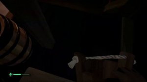 Решение ошибок в игре #Seaofthieves - #beard #fix