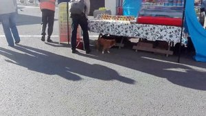 Рынок морепродуктов во Владивостоке. Обзор и цены.