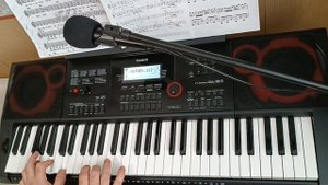 В. Цой "Кукушка"  синтезаторе Casio CT-X 3000