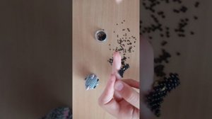 Амигуруми котёнок из бисера часть 3