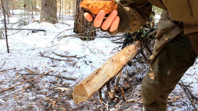 Добывание огня чагой - Техника трения об дерево | Starting a Fire with Chaga смотреть онлайн
