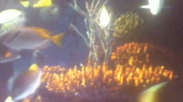 КАК ПОПАСТЬ В РАЙ?ЧТО ДЕЛАТЬ?............,,,,,, смотреть онлайн