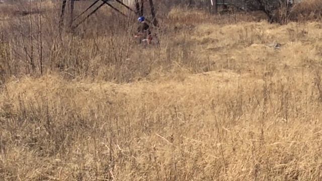 Учим 3д рельеф мото смотреть онлайн