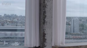 Bach - Cello Suite no. 3 in C major BWV 1009 - Wink | Netherlands Bach Society