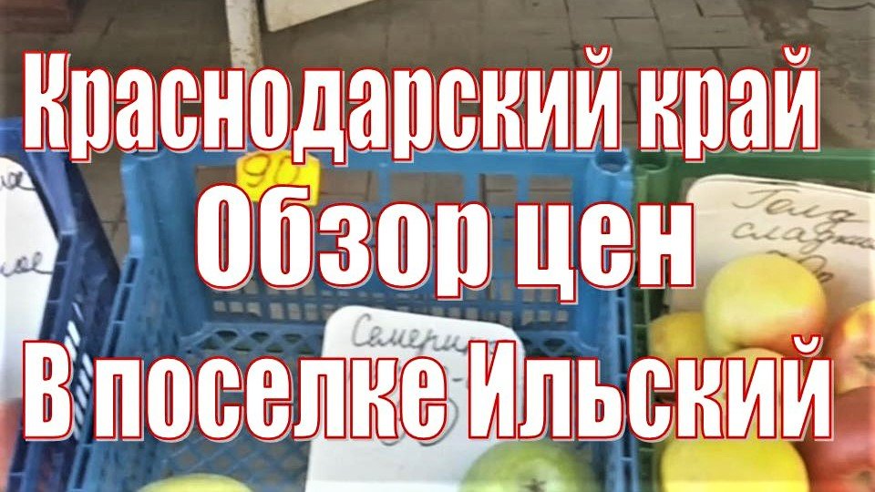 Обзор цен на продукты в Ильском/Краснодарский край