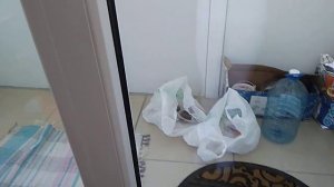 Фани Фикси Плей вторая серия моего дома