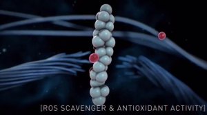 IBSA Гиалуроновая кислота, механизм действия.