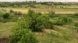 ▪️жизнь в садоводческих товариществах| Земли ижс | Земли сельхозназначения