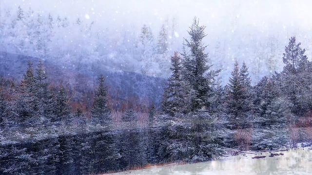 Мой снежный сон ❄ Музыка: ANiS - carlsonnd
