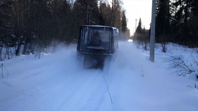 Добрыня Булат по снежному лесу
