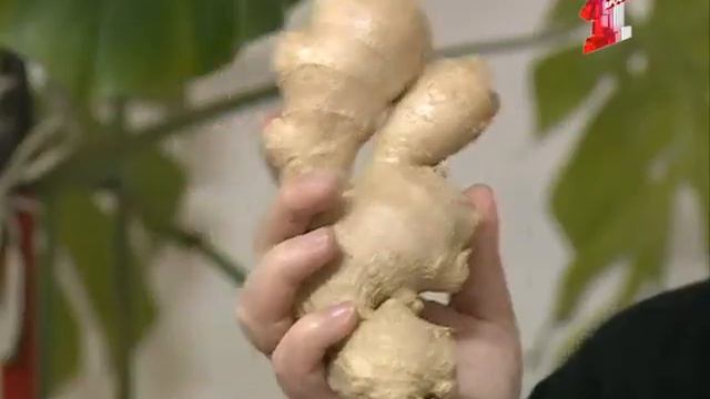 В сезон простуд поможет имбирь смотреть онлайн