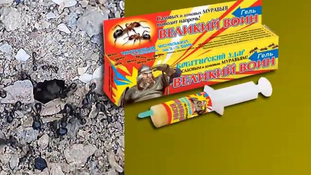 Великий воин — как избавиться от садовых муравьев 2014? смотреть онлайн