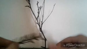 Как снять сериял или клип дома?