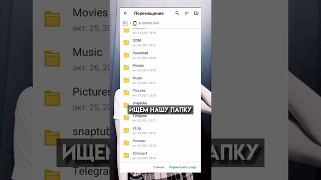 ?как добавить колоринг на видео в VN?|FIKA? смотреть онлайн