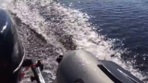 Waterman 5 + prof marine 320 el