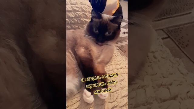 Двойные чувства... смотреть онлайн