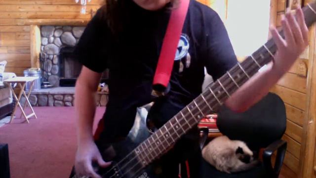 "Dogman" by King's X (bass cover) смотреть онлайн