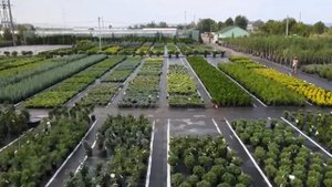 Садовый центр Веры Глуховой