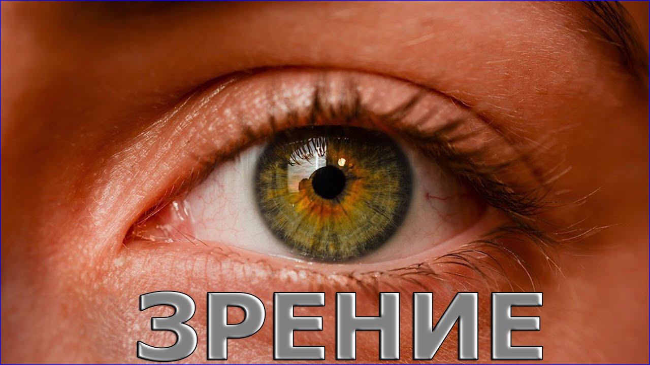 Зрение. (stopsoznanie.ru)