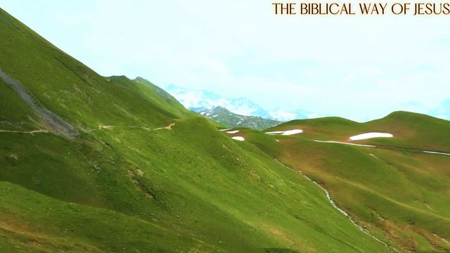 💗ВЕРУЮ (СИМВОЛ ВЕРЫ) - 🌿исцеляющая ЛЮБОВЬЮ💗12 раз ИНСТРУМЕНТАЛЬНАЯ ВЕРСИЯ смотреть онлайн