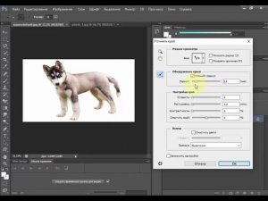 Как Вырезать Объект в Фотошопе (Магнитное лассо + Уточнить край)