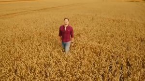 Дмитрий Ланской (LANSKOY & Co.) - Бесконечное лето