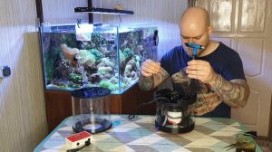 Пенник Александра Логинова A&C 200xxsQ