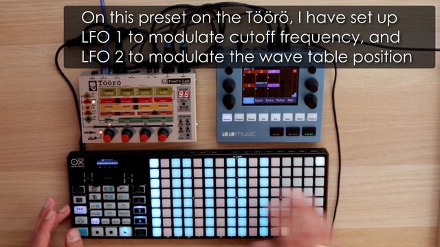 Töörö multitimbral synth, with OXI ONE and Bluebox смотреть онлайн
