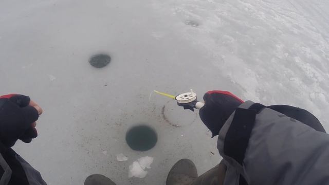 Ловля СУДАКА на ЖЕРЛИЦЫ!!! Зимняя рыбалка на Яузском вдхр, Пудыши!!! Яуза в феврале!!! Глухозимье!!