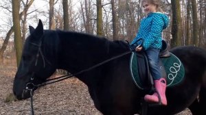 Учимся ездить на лошади!