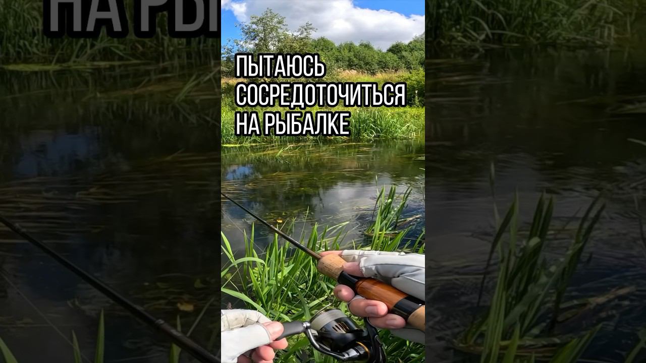 Когда пытаешься сосредоточиться на рыбалке  #рыбалка  #юмор #приколынарыбалке #рыболовныйюмор