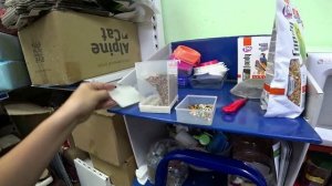 Кормушка для попугаев и амадин