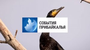 События Прибайкалья от 18.12.2023 | Новые школы | Отстрел бакланов | Белый парад