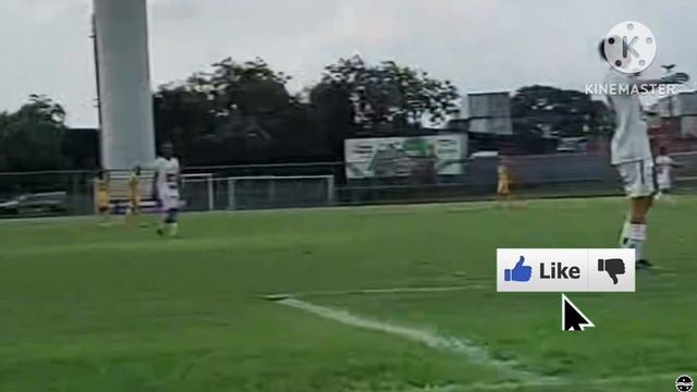 Unidos do Alvorada 0 x 2 Amazonas | Campeonato Amazonense 2024 | 5ª Rodada смотреть онлайн