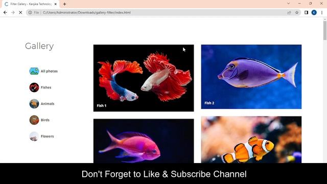 How to add filter with portfolio gallery using HTML CSS and JavaScript? | Free Download Source Code