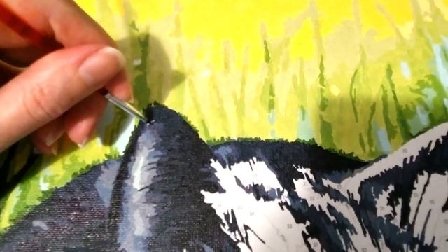 КАРТИНА по номерам КОТ и КРОКУСЫ. ЧТО Я В НЕЙ ИЗМЕНИЛА и ЧТО В ИТОГЕ ПОЛУЧИЛОСЬ? #картинапономерам